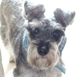 D ccd0b88e d142 4860 bca2 c0ec228dccde