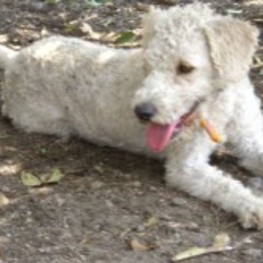 D 42ab7f64 af01 47aa 814e a2a3d6b0204f