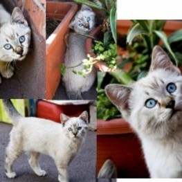 D ec3526d2 78b0 43ce a45d 139d76b37b43