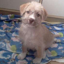 D 200eacf5 b5de 4945 9499 3456e3219f00