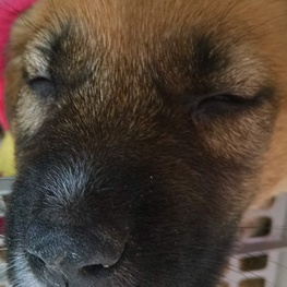 D 6ca0f2f3 432f 4a7a 84aa 2862962b26cb