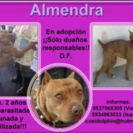 D 78a60c36 b486 425d a0b2 abcedc8de7e3