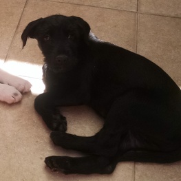 D 26e02ddc acd2 4f60 be8c 7401cd221d24