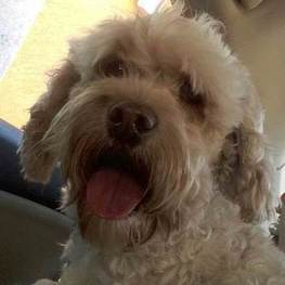 D e05281e2 e730 4b0e bfea 02487a8bb284