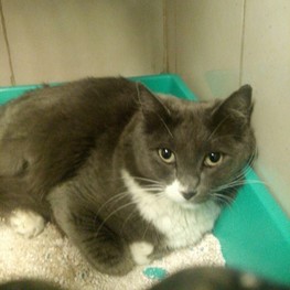 D 79b0e37d 3dea 4d98 82d9 082040a80f5d