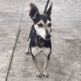 D 8cd785f2 ef38 4feb 9f75 aa95495dbe69