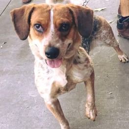 D f76515c6 2794 41f3 8b73 b98dce48021b