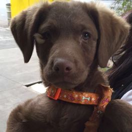 D 6fb4fe56 8a46 4db8 93ba a74a43006f6e