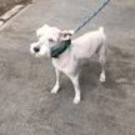 D 0c070962 fdbf 4a99 95bd ac1e21dd9ca4