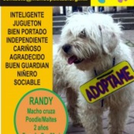 D 1d873633 f8c0 49fb a2ad 4865f007f67b