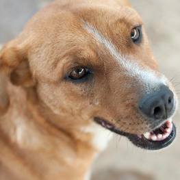 D 684ca15d 171d 4b75 ae38 f394a1c1aa6f