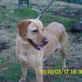 D ec05bb78 982d 4912 88b3 777b86e0fc9c