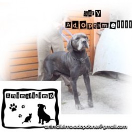 D fa03478f 6b70 40b1 9cce bf0e5feed156