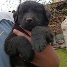 D ea1f48c4 aa5b 433b 916c 4c4dd4f93166