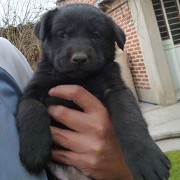 D 5ab5d79b 6421 44cf a080 aa3464a4ffca