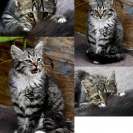 D e9a58072 c299 45a2 8a15 c1aaba99b1a5