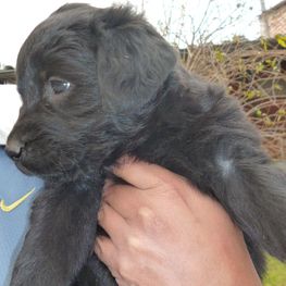 D 8693f136 3537 4974 a741 2a617394d937