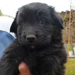 D 47caf1c9 881c 44d7 b8cb 53e72ae71718