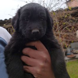 D 7056943d fd9d 435c bef1 ca0532cacb62