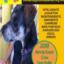 D 650b5901 2307 4e03 9873 082f593de3e0