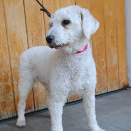 D bb5de022 7944 493d a1d4 ce0ffc6ac821