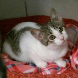 D 8cd652d4 2755 4091 b534 d850cbd94678