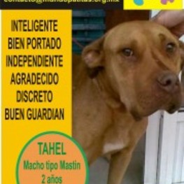 D 98c1de64 baaa 4ae6 9d8a a04c67e42ed0