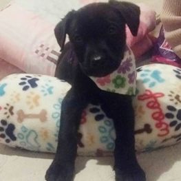 D 7b66fbd5 6bf7 4832 9546 9956da3a7272