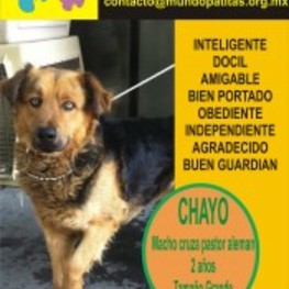 D 53614666 77bd 4c89 9110 79b7ee924098