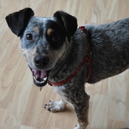 D edc0e9c5 02cb 4f4a a406 88c1eeedf666