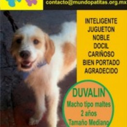 D e48d7d4a a34c 43ea ac9d a80f58461764