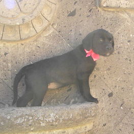 D 38de9507 5d7d 4852 b5c9 540e9d1270a5