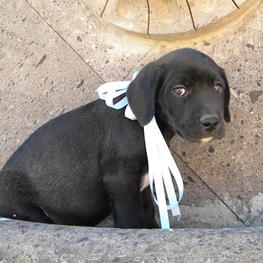 D 4110a555 db2f 4aa9 860a f6d0a5dac6cb