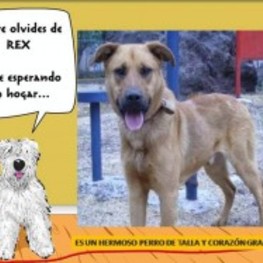 D 0c144365 7fb2 482e 9c44 edfb2ee59e00