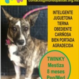 D 1cb5da58 8a71 4543 84a9 b215da6c40fe