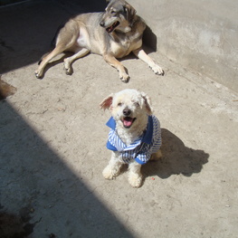 D 50bea945 bf63 44e5 bace f6b6a28c1ea0