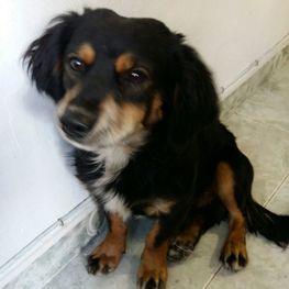 D d7e74532 b771 42ed baaf 563a6cc22542