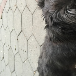 D 16693e34 f12e 48e9 ab2f e0b09a2aeb7b