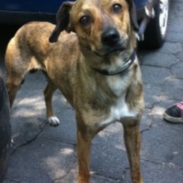 D 20885994 411c 4a2e b706 67dce6cc8808