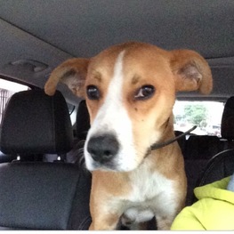 D 88a9b900 08e5 4482 9ad6 34b8b74acce8