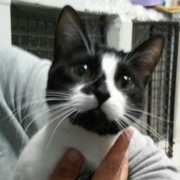 D 1957835c b005 45ab 9312 d73b21c42b73