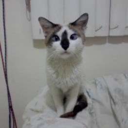 D 1b51ea2a 6319 4bef 8a9a b5c2ba342dee