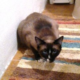 D 1bf6905f f075 4bd6 b0ff 077a339facec