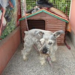 D 5bcfc397 355b 4e23 8b46 d2c34f49c9c2