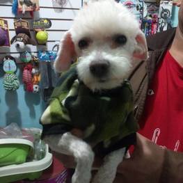 D ee14d1ed 795c 4210 a62c 1baf4a3fad7b