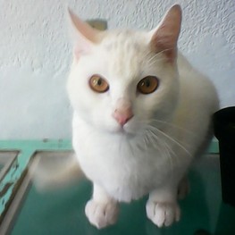 D 4662355f 9514 42b5 8b44 d086333124a1