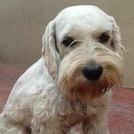 D 7c175f17 863d 4464 bb9b 9b6c12f63c03