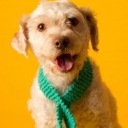 D d3a3c9e3 e9aa 4049 b512 337e2ff6a870