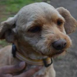 D 69376b61 02ea 4c90 9caf 5c4467f667fe