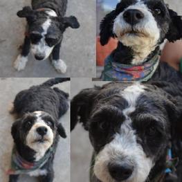 D 474cc5c7 7bdf 4923 a86f c3be357d31aa